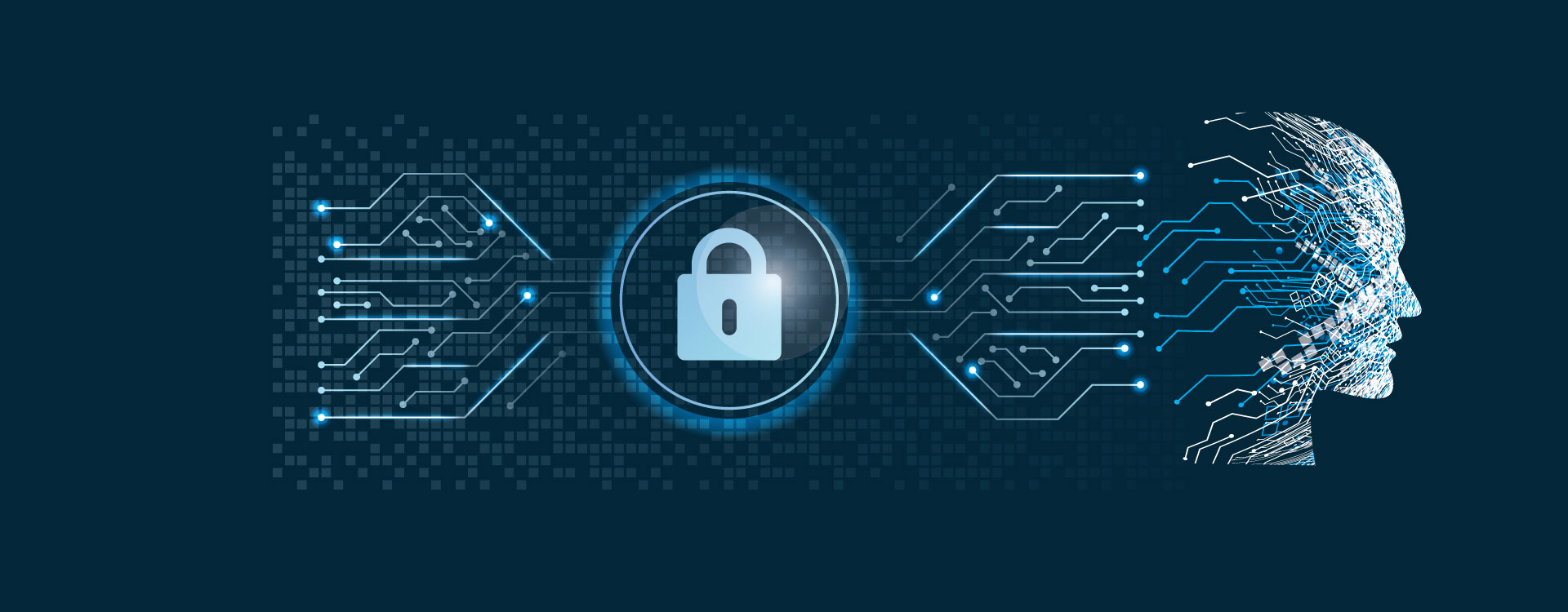Data Privacy for AI and ML