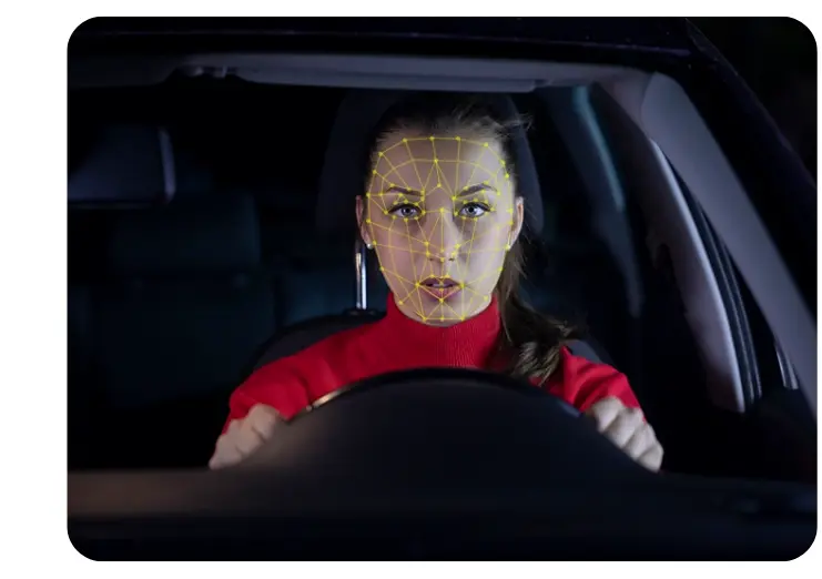 Driver Monitoring Systems (DMS)