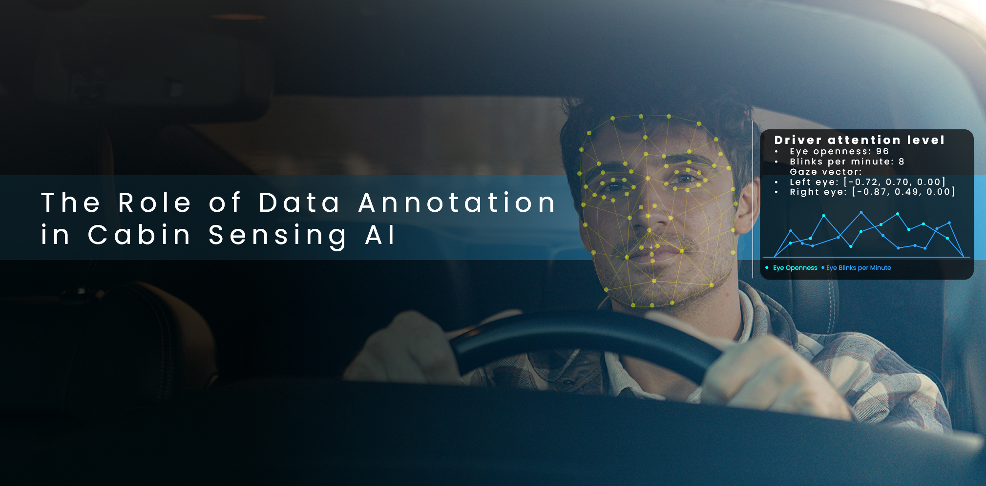 The Role of Data Annotation in Advancing Cabin Sensing Systems